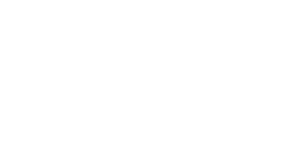 Luis Neves